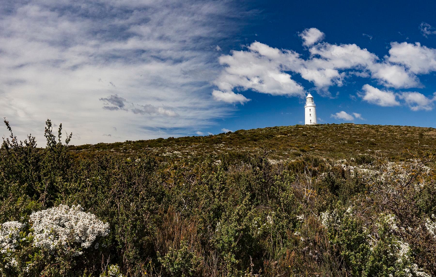 Lighthouse, Cloudy Bay, and a cruise