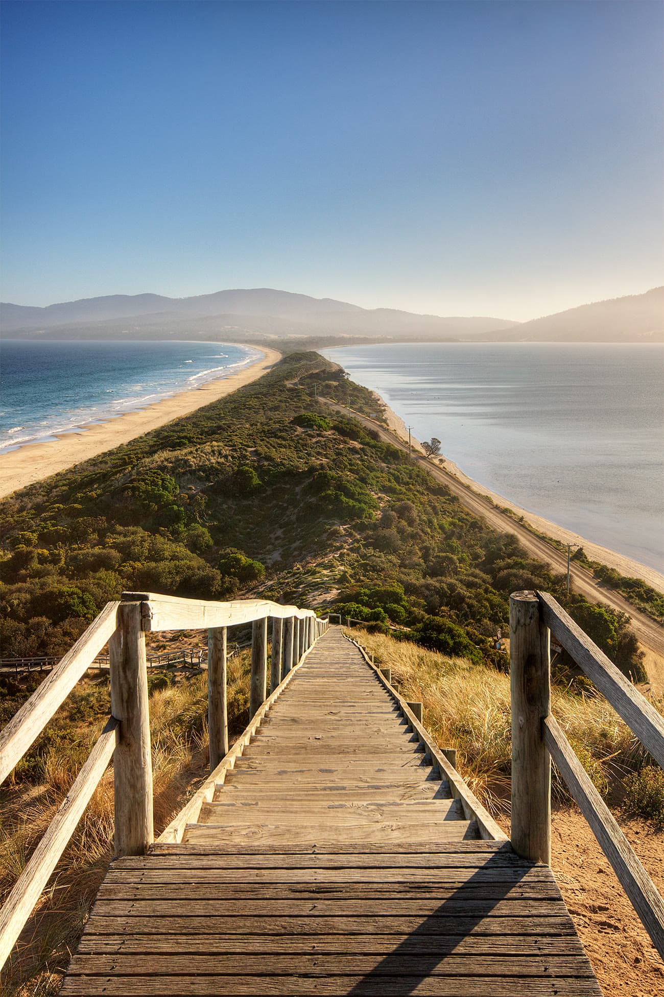 Timber stairs descending from The Neck lookout toward the Bruny Island isthmus